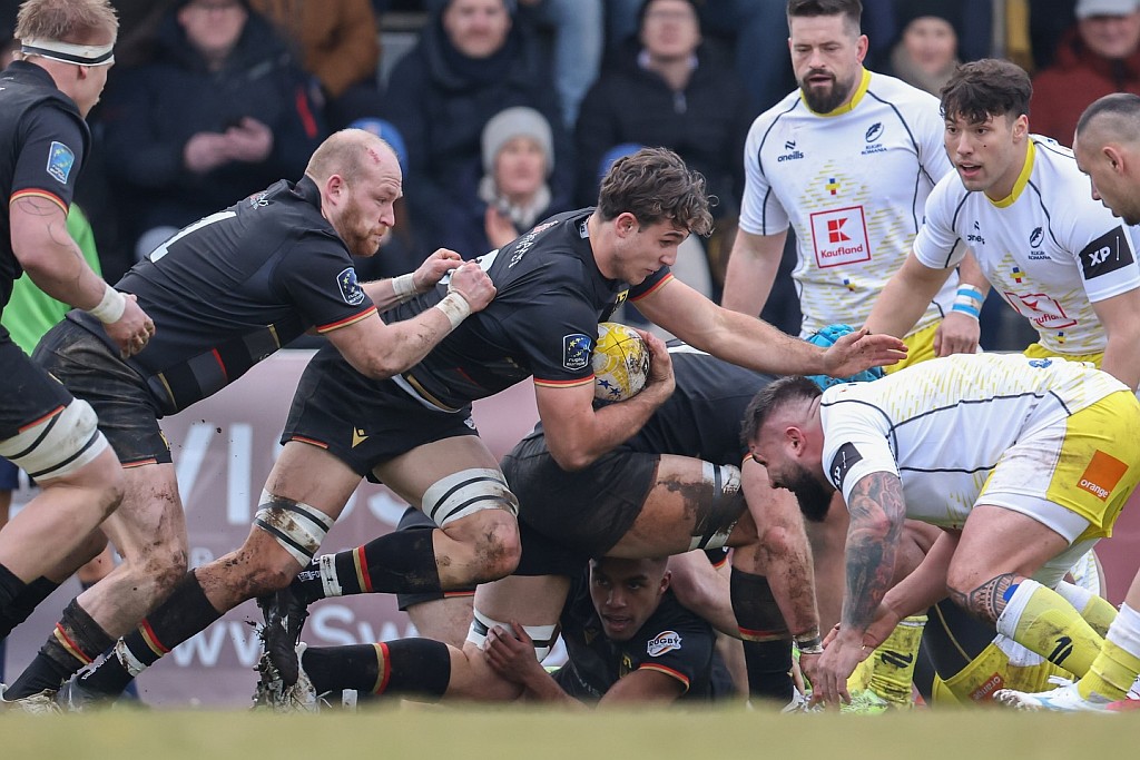 REC 2026 / ETAPA 1 / GER - ROM 30-24: Datele statistice ilustrează superioritea Vulturilor Negri în fața Stejarilor