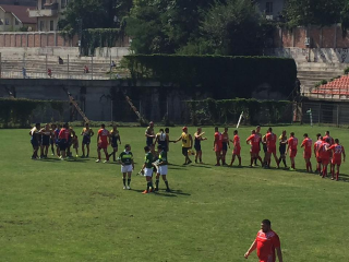 Demonstratie timisoreana de forta