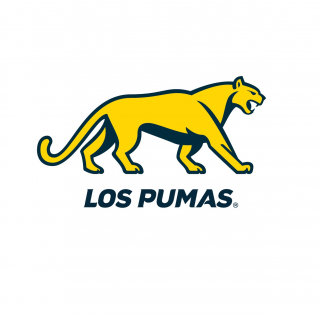 ARGENTINA: Puma înlocuiește... jaguarul pe logo-ul sud-americanilor