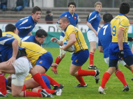 Stejareii se lupta cu masivii francezi